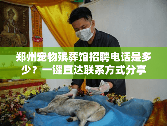 郑州宠物殡葬馆招聘电话是多少？一键直达联系方式分享