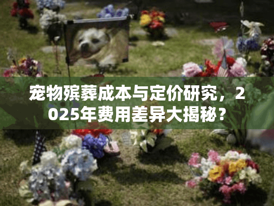 宠物殡葬成本与定价研究，2025年费用差异大揭秘？