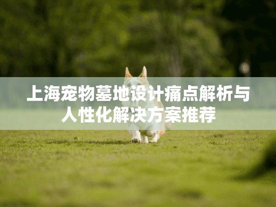 上海宠物墓地设计痛点解析与人性化解决方案推荐