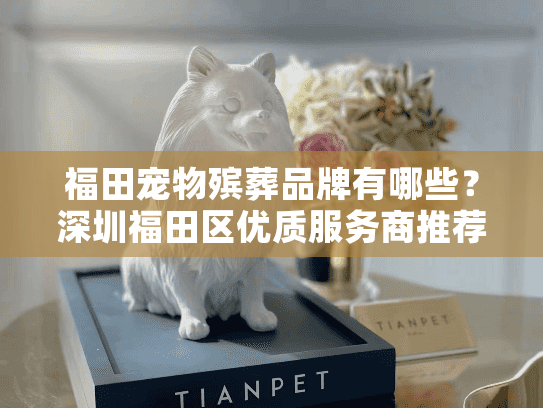 福田宠物殡葬品牌有哪些？深圳福田区优质服务商推荐指南