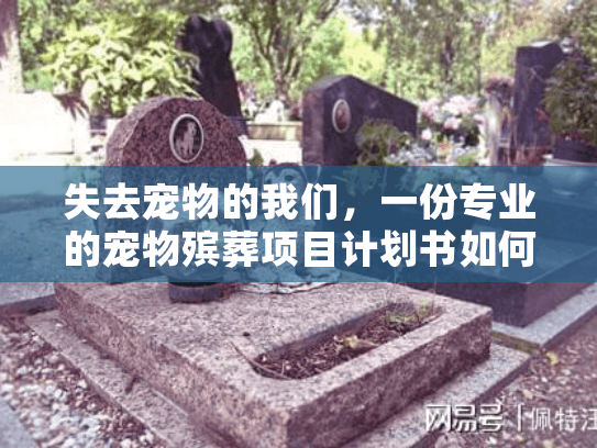 失去宠物的我们，一份专业的宠物殡葬项目计划书如何带来慰藉？