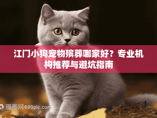 江门小狗宠物殡葬哪家好？专业机构推荐与避坑指南