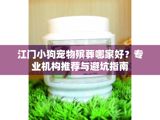 江门小狗宠物殡葬哪家好？专业机构推荐与避坑指南