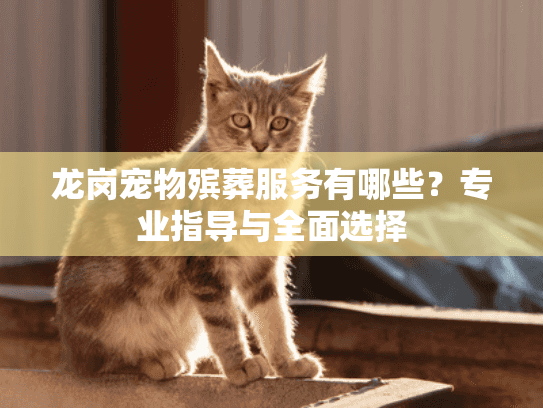 龙岗宠物殡葬服务有哪些？专业指导与全面选择