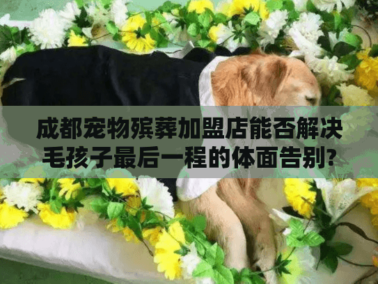 成都宠物殡葬加盟店能否解决毛孩子最后一程的体面告别?