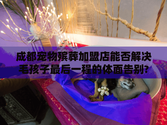 成都宠物殡葬加盟店能否解决毛孩子最后一程的体面告别?