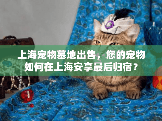 上海宠物墓地出售，您的宠物如何在上海安享最后归宿？