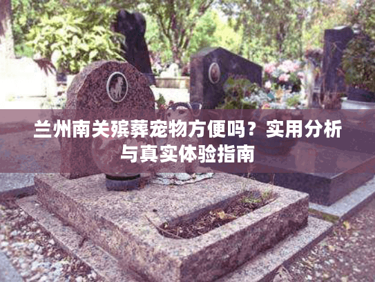 兰州南关殡葬宠物方便吗？实用分析与真实体验指南
