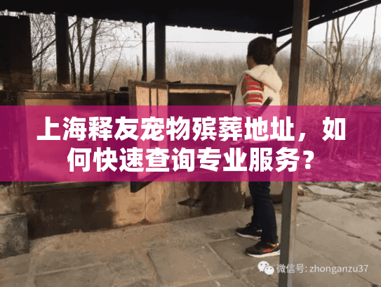 上海释友宠物殡葬地址，如何快速查询专业服务？