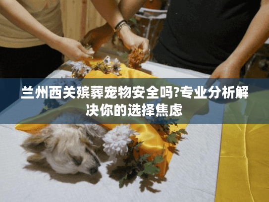 兰州西关殡葬宠物安全吗?专业分析解决你的选择焦虑