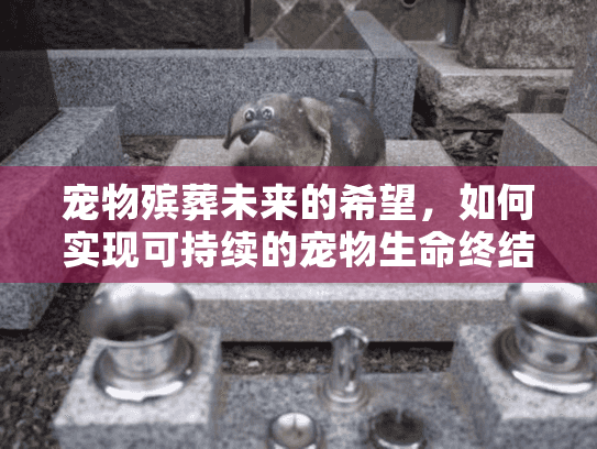 宠物殡葬未来的希望，如何实现可持续的宠物生命终结服务