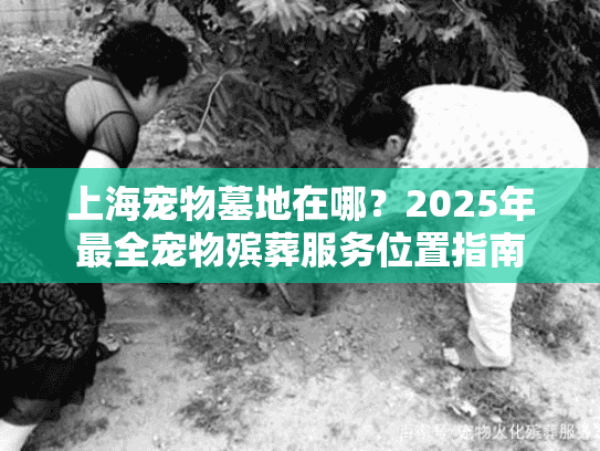 上海宠物墓地在哪？2025年最全宠物殡葬服务位置指南