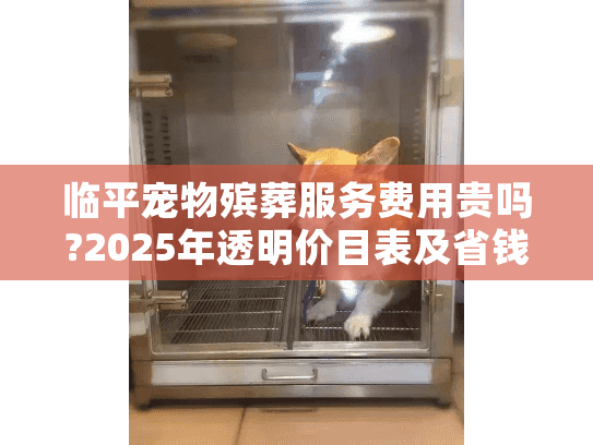 临平宠物殡葬服务费用贵吗?2025年透明价目表及省钱建议