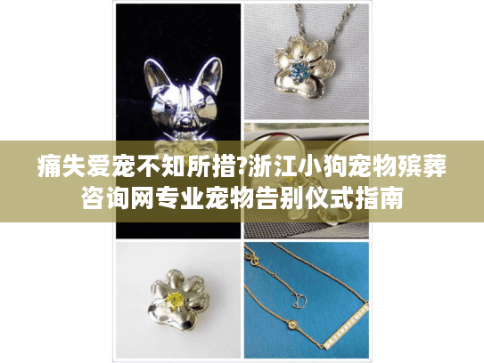 痛失爱宠不知所措?浙江小狗宠物殡葬咨询网专业宠物告别仪式指南