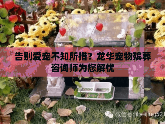 告别爱宠不知所措？龙华宠物殡葬咨询师为您解忧