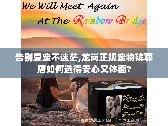 告别爱宠不迷茫,龙岗正规宠物殡葬店如何选得安心又体面?