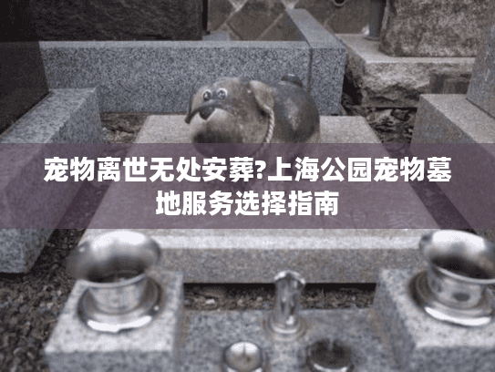 宠物离世无处安葬?上海公园宠物墓地服务选择指南