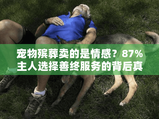 宠物殡葬卖的是情感？87%主人选择善终服务的背后真相