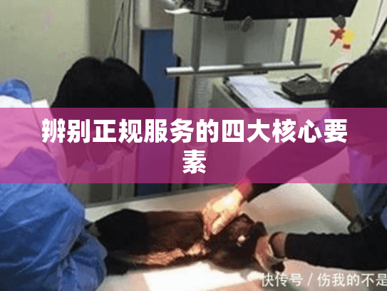 辨别正规服务的四大核心要素