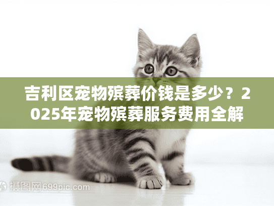 吉利区宠物殡葬价钱是多少？2025年宠物殡葬服务费用全解析
