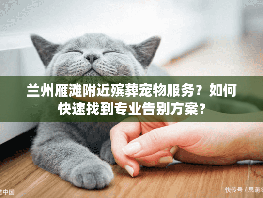 兰州雁滩附近殡葬宠物服务？如何快速找到专业告别方案？