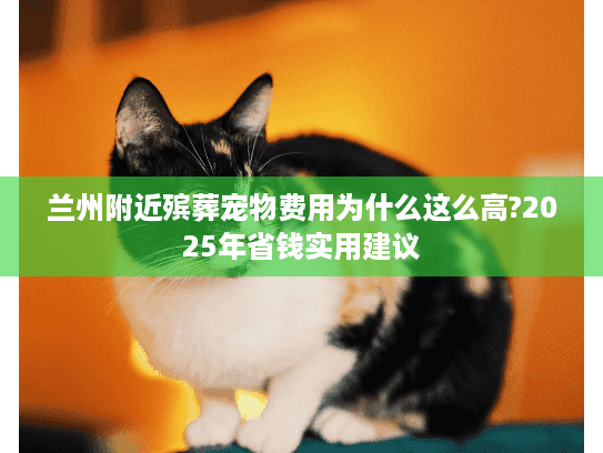 兰州附近殡葬宠物费用为什么这么高?2025年省钱实用建议