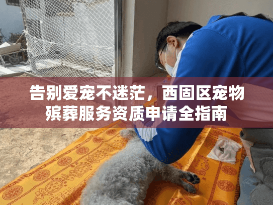 告别爱宠不迷茫，西固区宠物殡葬服务资质申请全指南