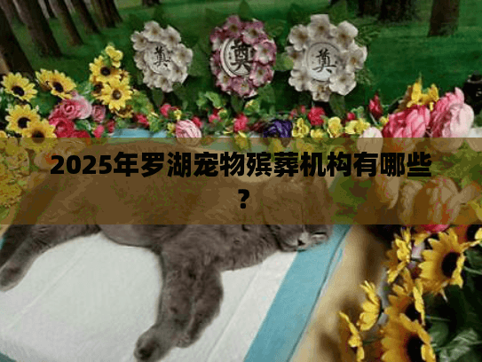 2025年罗湖宠物殡葬机构有哪些？