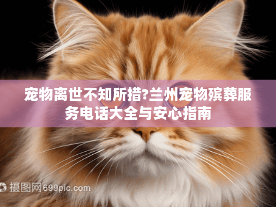 宠物离世不知所措?兰州宠物殡葬服务电话大全与安心指南