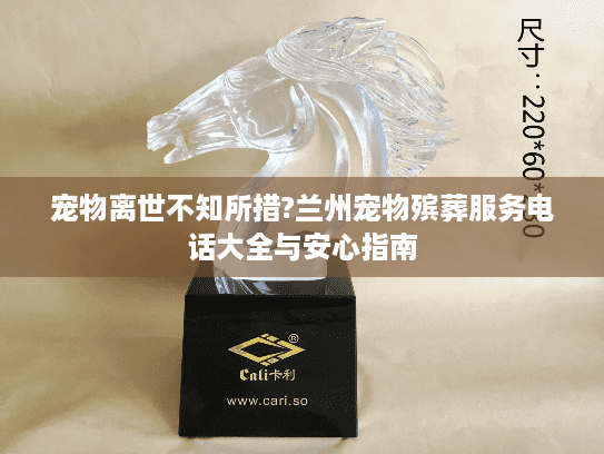 宠物离世不知所措?兰州宠物殡葬服务电话大全与安心指南