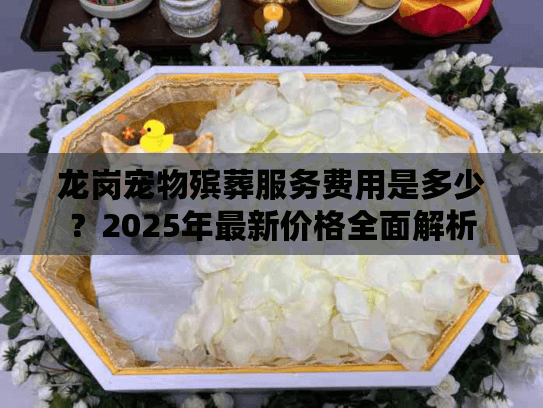 龙岗宠物殡葬服务费用是多少？2025年最新价格全面解析