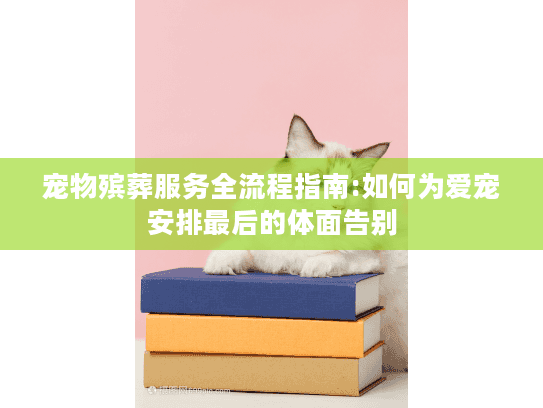 宠物殡葬服务全流程指南:如何为爱宠安排最后的体面告别