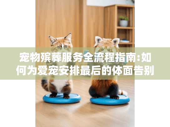 宠物殡葬服务全流程指南:如何为爱宠安排最后的体面告别