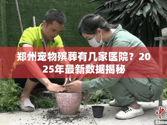 郑州宠物殡葬有几家医院？2025年最新数据揭秘