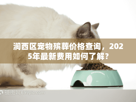 涧西区宠物殡葬价格查询，2025年最新费用如何了解？