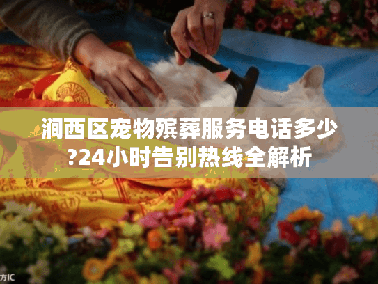 涧西区宠物殡葬服务电话多少?24小时告别热线全解析