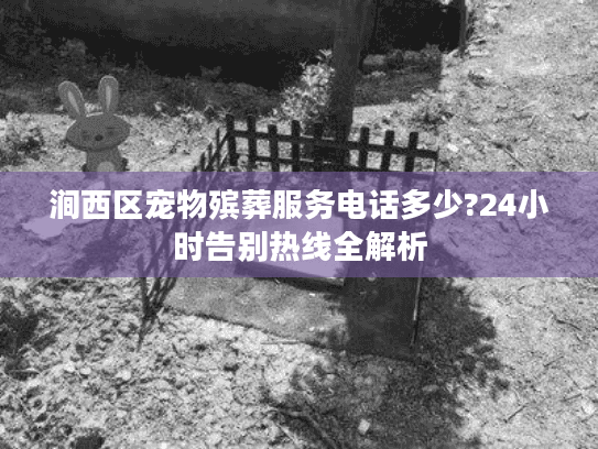 涧西区宠物殡葬服务电话多少?24小时告别热线全解析