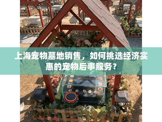 上海宠物墓地销售，如何挑选经济实惠的宠物后事服务？