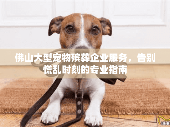 佛山大型宠物殡葬企业服务，告别慌乱时刻的专业指南