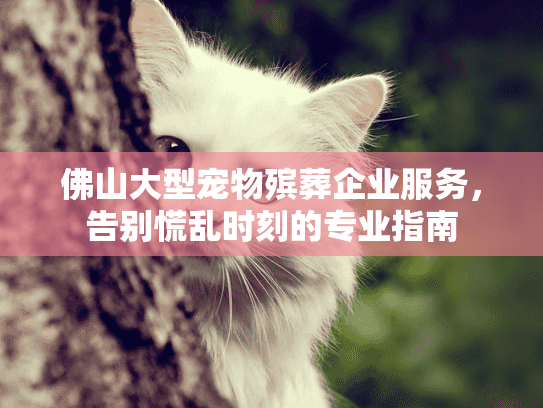 佛山大型宠物殡葬企业服务，告别慌乱时刻的专业指南