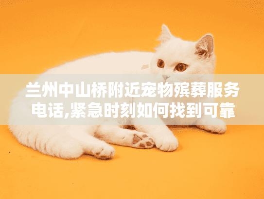 兰州中山桥附近宠物殡葬服务电话,紧急时刻如何找到可靠帮助?