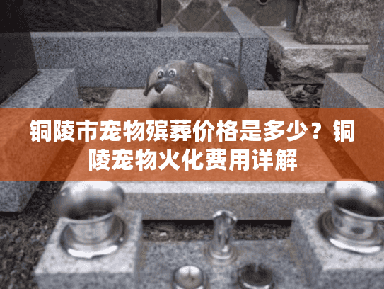 铜陵市宠物殡葬价格是多少？铜陵宠物火化费用详解