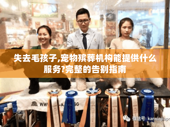 失去毛孩子,宠物殡葬机构能提供什么服务?完整的告别指南