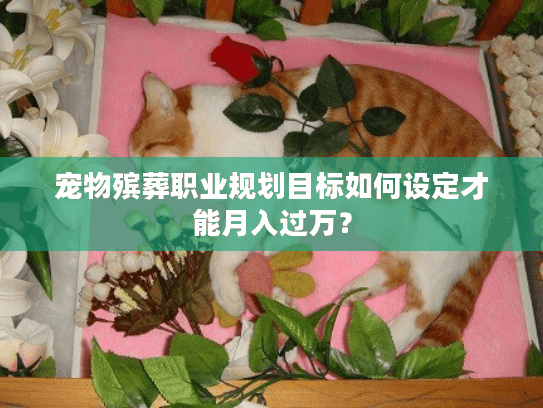 宠物殡葬职业规划目标如何设定才能月入过万？