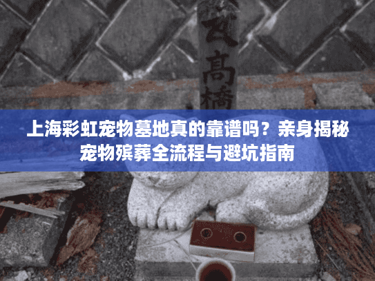 上海彩虹宠物墓地真的靠谱吗？亲身揭秘宠物殡葬全流程与避坑指南