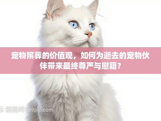 宠物殡葬的价值观，如何为逝去的宠物伙伴带来最终尊严与慰藉？