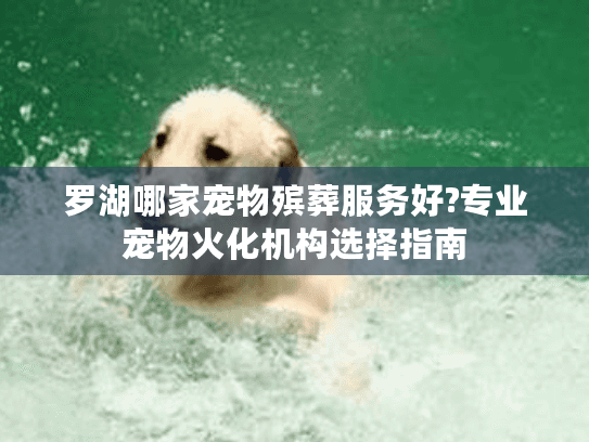罗湖哪家宠物殡葬服务好?专业宠物火化机构选择指南