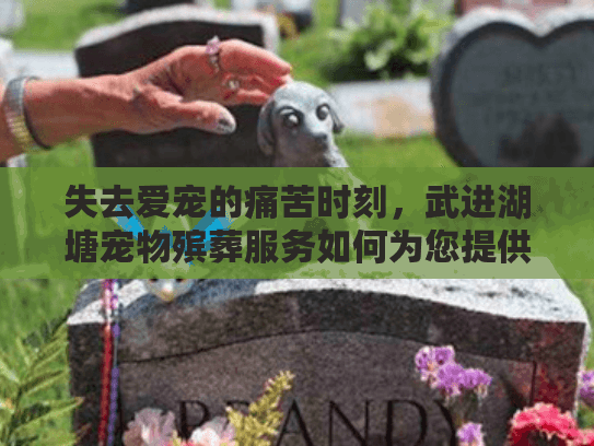 失去爱宠的痛苦时刻，武进湖塘宠物殡葬服务如何为您提供温暖告别？