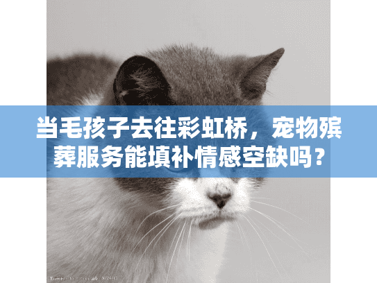 当毛孩子去往彩虹桥，宠物殡葬服务能填补情感空缺吗？