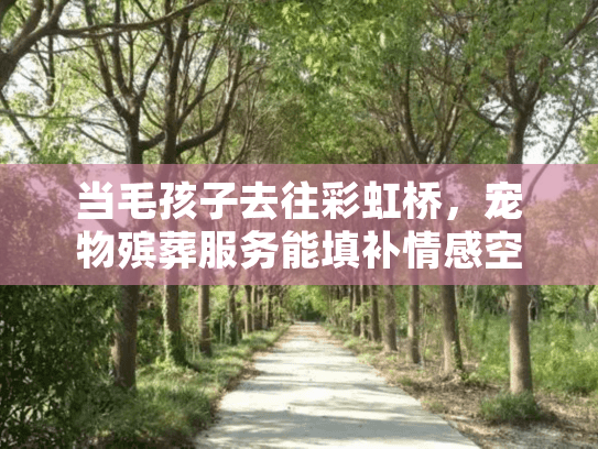 当毛孩子去往彩虹桥，宠物殡葬服务能填补情感空缺吗？